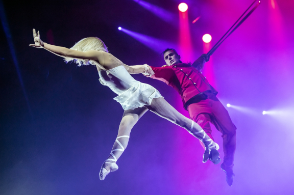 Стойкий оловянный солдатик