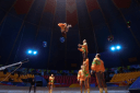 Елка в цирке