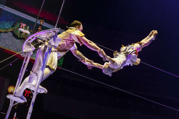 Стойкий оловянный солдатик