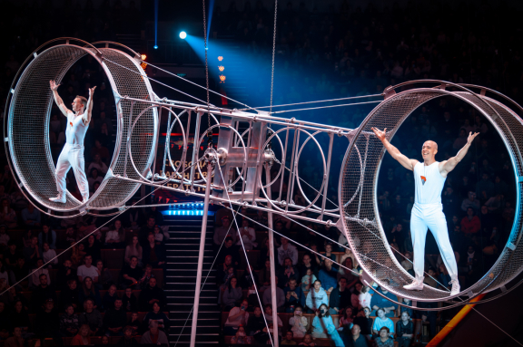 Стойкий оловянный солдатик