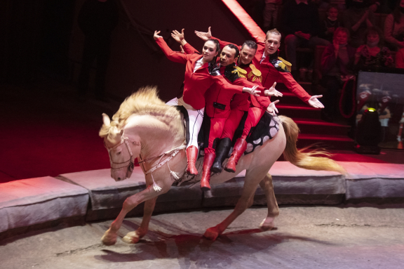 Стойкий оловянный солдатик