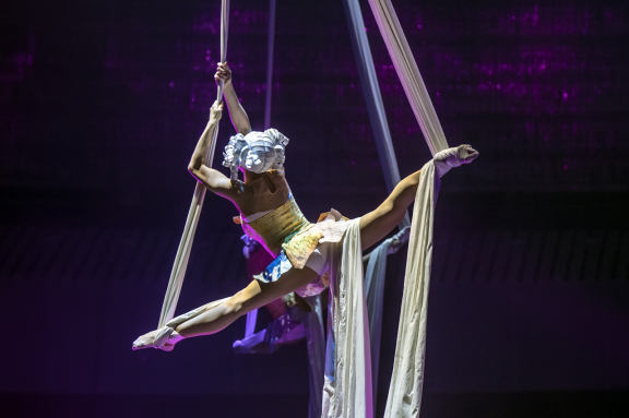 Стойкий оловянный солдатик