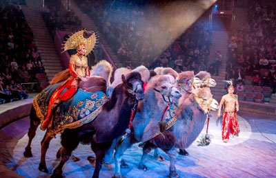 Новогоднее цирковое шоу Гии Эрадзе "Песчаная сказка"